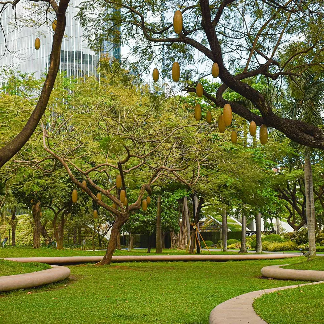 Cleared, mowed land with mature trees preserved